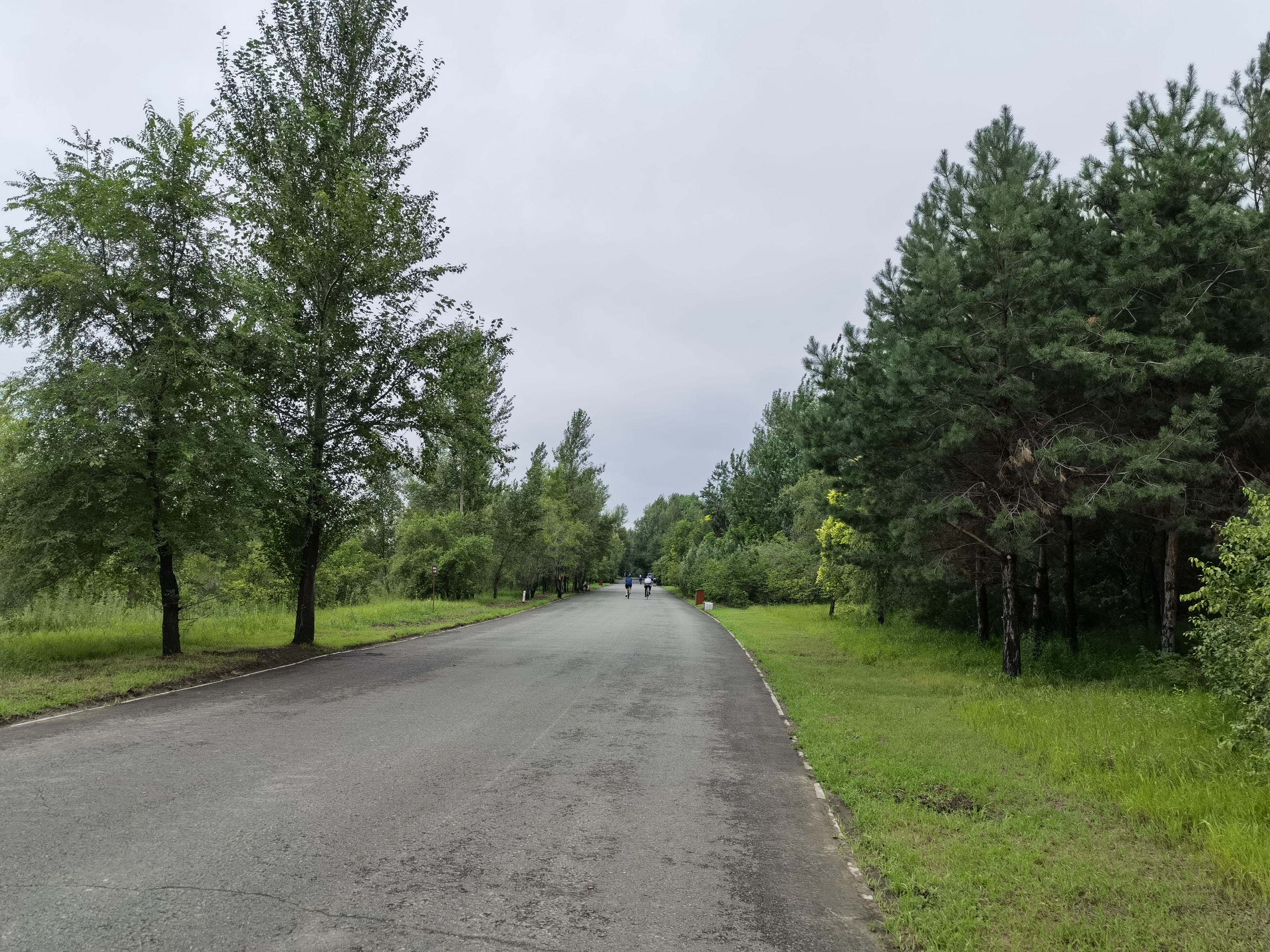 关于社区盾今晚走向成谜，多特蒙德战术微调，话题不断，训练强度明显提升的信息-开云体育下载